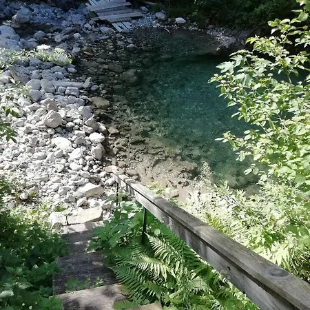 Tourist Farm Zerovc Gorenja Trebusa